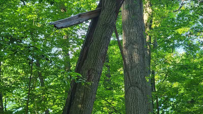 Southport Park - Southport, CT