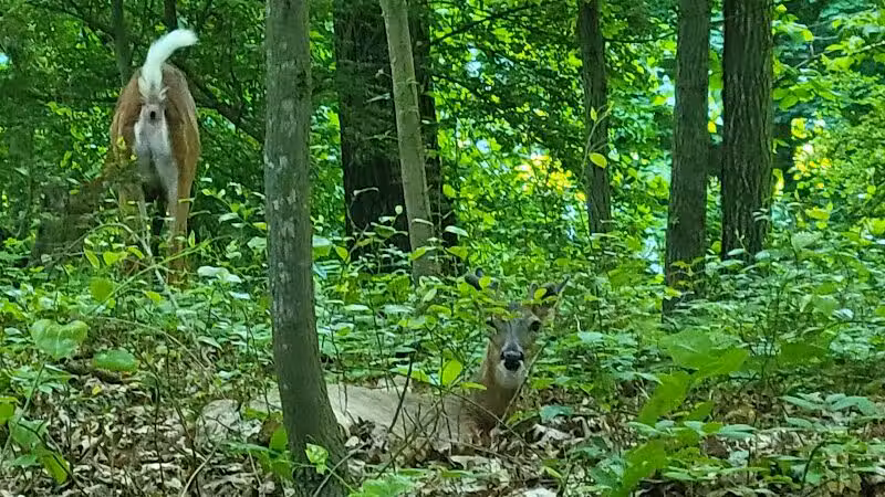 Southport Park - Southport, CT
