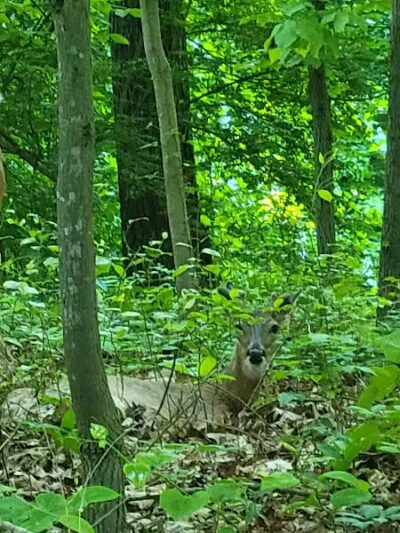 Southport Park - Southport, CT