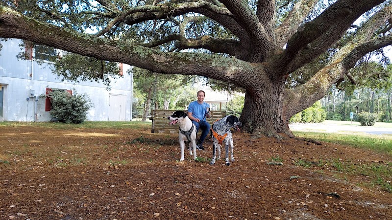 Salty Dog Dog Park - Southport, NC