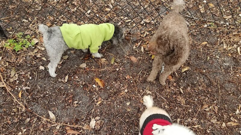 Salty Dog Dog Park - Southport, NC