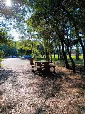 Salty Dog Dog Park - Southport, NC