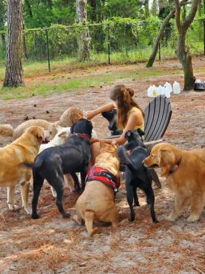 Salty Dog Dog Park - Southport, NC