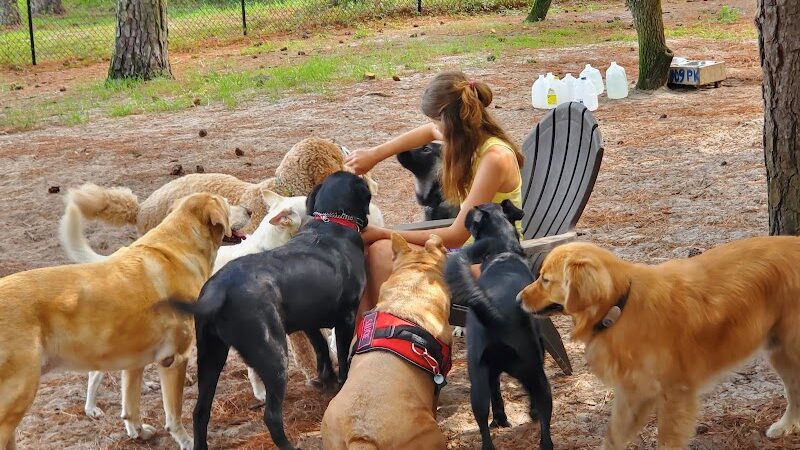 Salty Dog Dog Park - Southport, NC