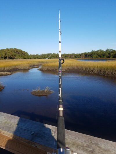 Salty Dog Dog Park - Southport, NC