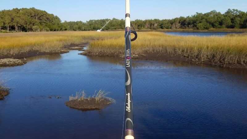 Salty Dog Dog Park - Southport, NC