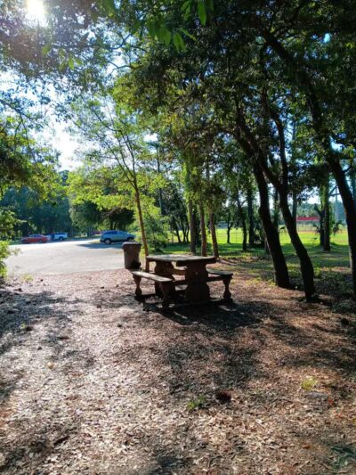 Salty Dog Dog Park - Southport, NC