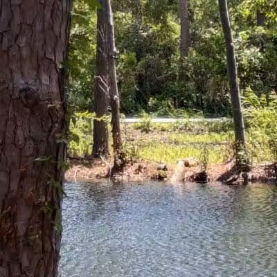 William S. "Bill" Smith Park - Southport, NC