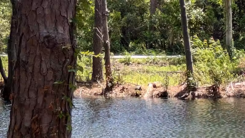 William S. "Bill" Smith Park - Southport, NC