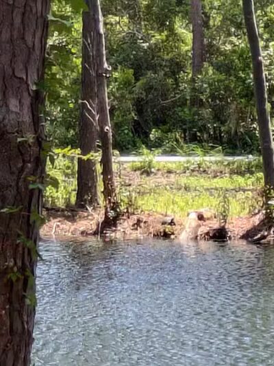 William S. "Bill" Smith Park - Southport, NC