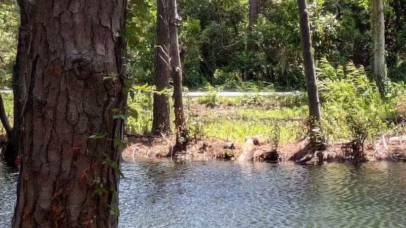 William S. "Bill" Smith Park - Southport, NC