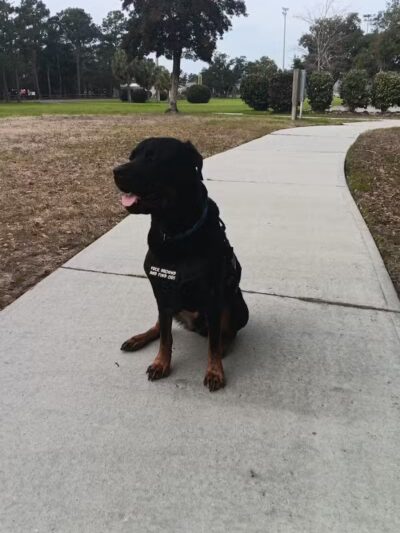 William S. "Bill" Smith Park - Southport, NC