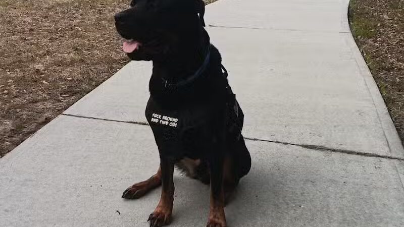 William S. "Bill" Smith Park - Southport, NC