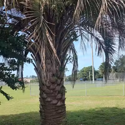 William S. "Bill" Smith Park - Southport, NC