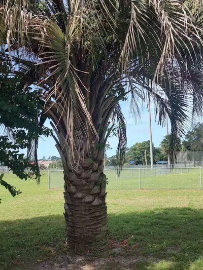 William S. "Bill" Smith Park - Southport, NC