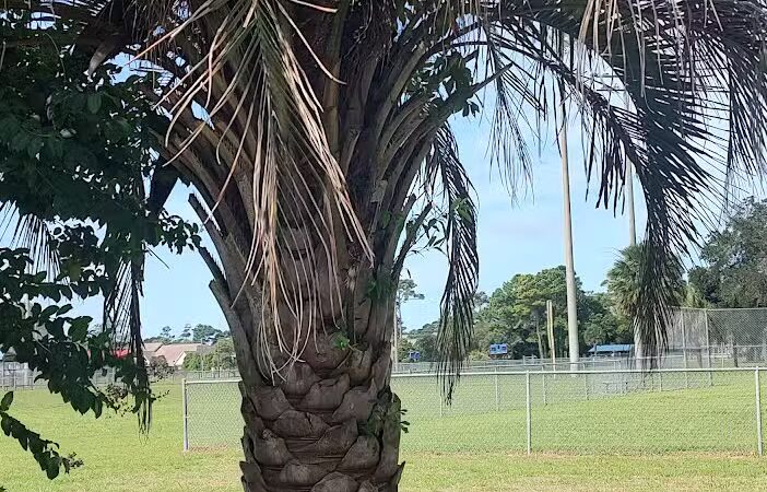 William S. "Bill" Smith Park - Southport, NC