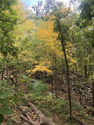 Sparta Glen Park - Sparta, NJ