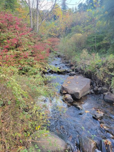 Sparta Glen Park - Sparta, NJ