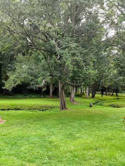 Andrews Farm Park - Spartanburg, SC