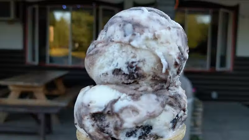 King of the Frosties - Speculator, NY