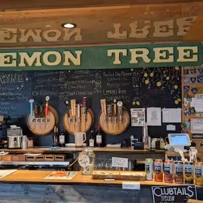 Lemon Tree Brewery - Speculator, NY