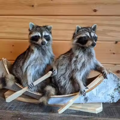 Lemon Tree Brewery - Speculator, NY