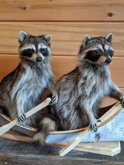 Lemon Tree Brewery - Speculator, NY