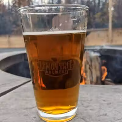 Lemon Tree Brewery - Speculator, NY