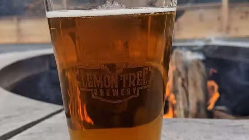 Lemon Tree Brewery - Speculator, NY