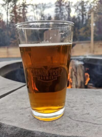 Lemon Tree Brewery - Speculator, NY