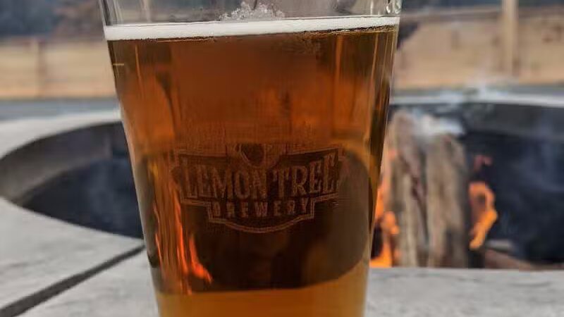 Lemon Tree Brewery - Speculator, NY