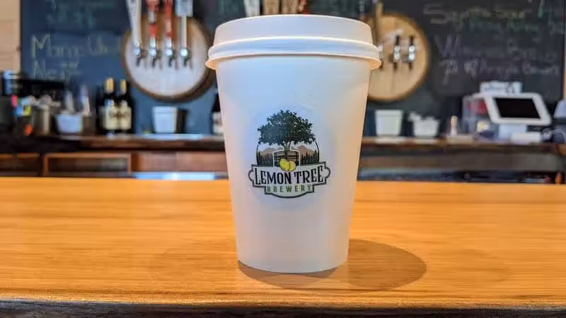 Lemon Tree Brewery - Speculator, NY