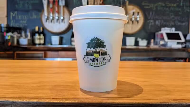 Lemon Tree Brewery - Speculator, NY
