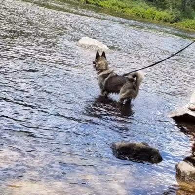 Moffit Beach Campground - Speculator, NY