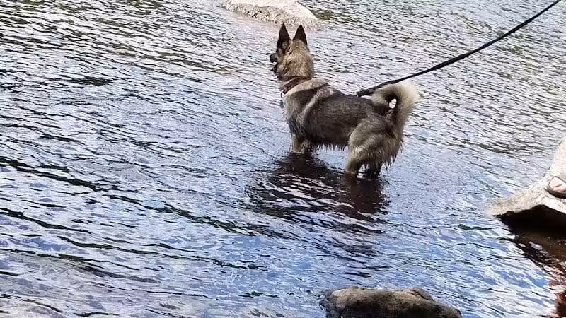 Moffit Beach Campground - Speculator, NY