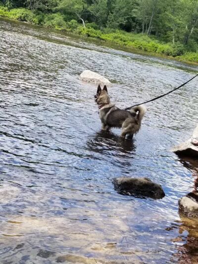Moffit Beach Campground - Speculator, NY