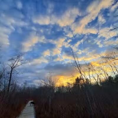 Sacandaga pathway - Speculator, NY