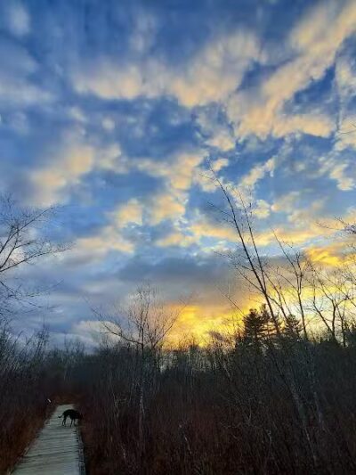 Sacandaga pathway - Speculator, NY