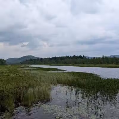 Sacandaga pathway - Speculator, NY