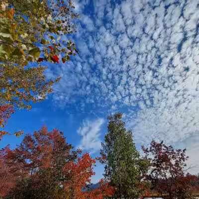 Sacandaga pathway - Speculator, NY