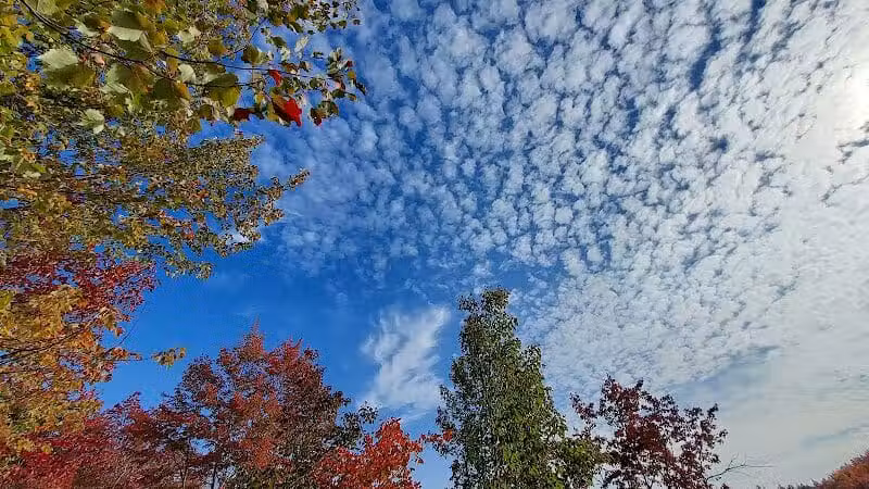 Sacandaga pathway - Speculator, NY