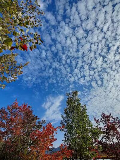 Sacandaga pathway - Speculator, NY