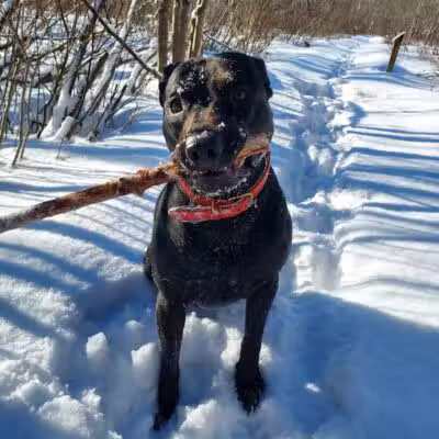 Sacandaga pathway - Speculator, NY