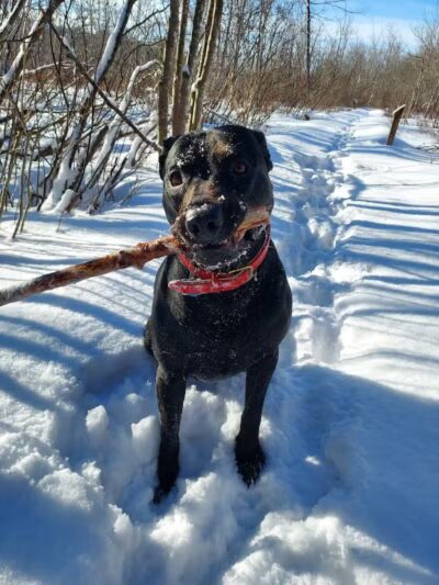 Sacandaga pathway - Speculator, NY