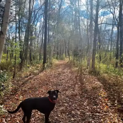 Sacandaga pathway - Speculator, NY