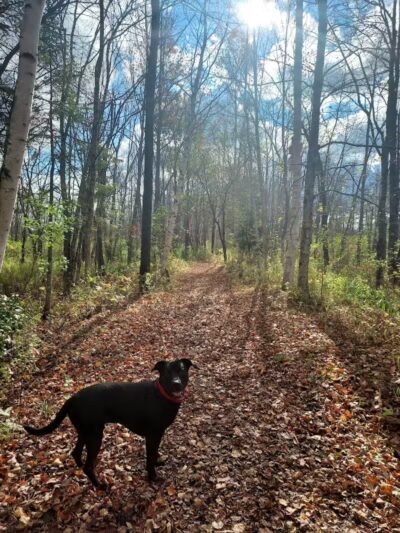 Sacandaga pathway - Speculator, NY