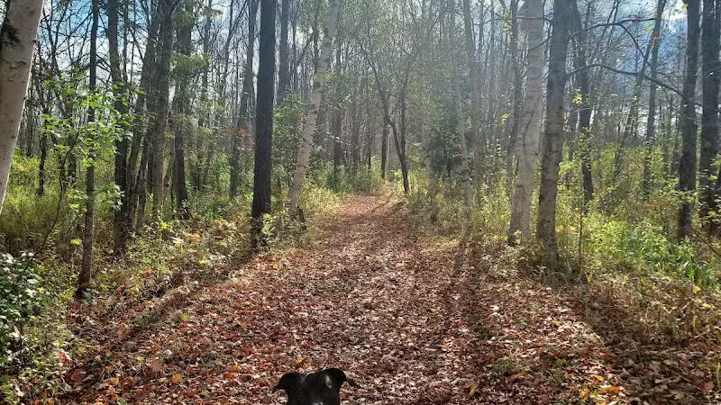 Sacandaga pathway - Speculator, NY