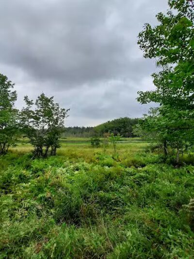 Sacandaga pathway - Speculator, NY