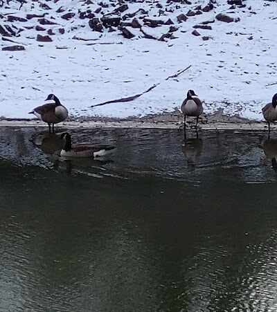 Rose Turner Park - Spencerport, NY