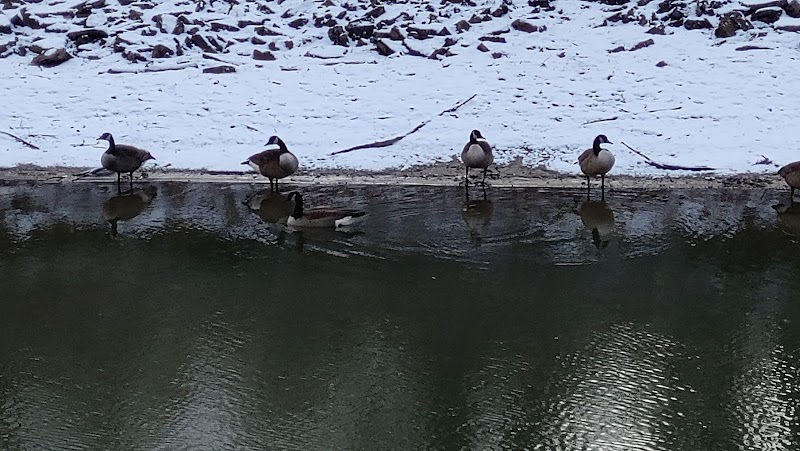 Rose Turner Park - Spencerport, NY